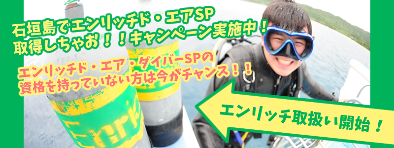 石垣島ダイビングエンリッチ
