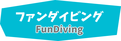 石垣島ダイビングファンダイビング